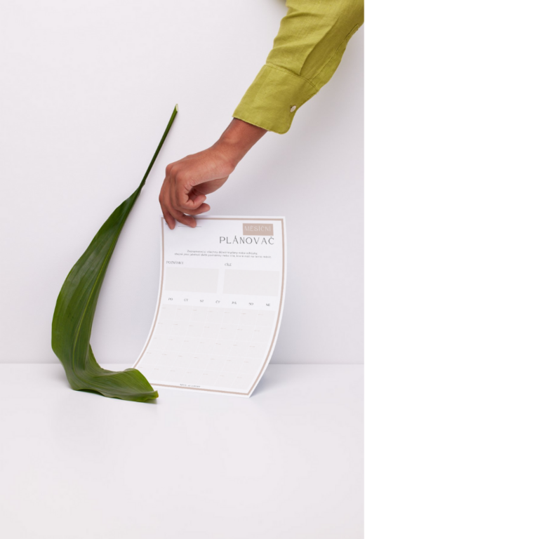 Plánovač ke stažení Soul Academy